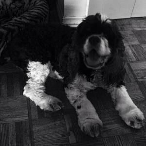 Meet your Posher, Anne